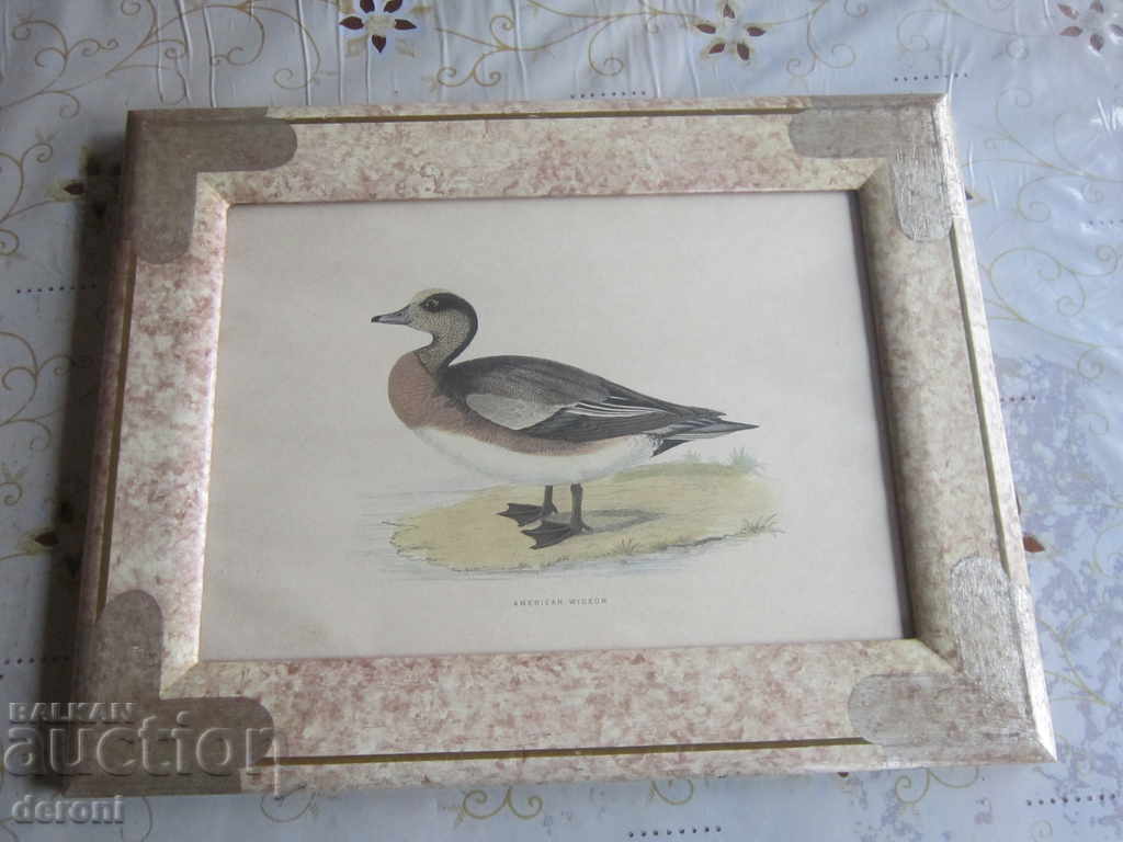 Delivery of Old picture chart American Wiceron Delivery of Old picture chart American Wiceron