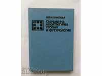 Contemporary architectural utopia and ... Elena Hristova 1981