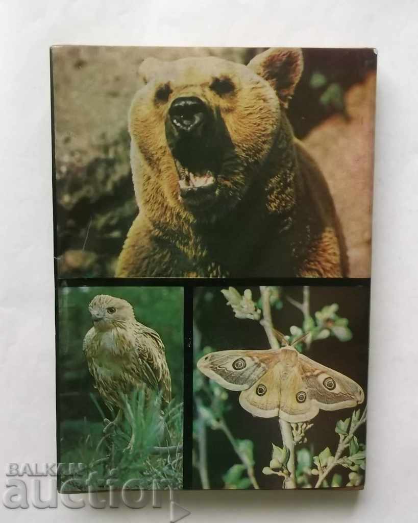 Животинският свят на България - Цоло Пешев и др. 1984 г. - 6 Животинският свят на България - Цоло Пешев и др. 1984 г. - 6