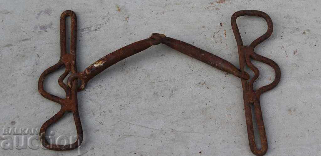 Auction OLD HORSE HORSE RIDER WEDDING AMMUNITION SUMMER Auction OLD HORSE HORSE RIDER WEDDING AMMUNITION SUMMER