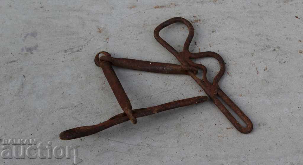 Delivery of OLD HORSE HORSE RIDER WEDDING AMMUNITION SUMMER Delivery of OLD HORSE HORSE RIDER WEDDING AMMUNITION SUMMER