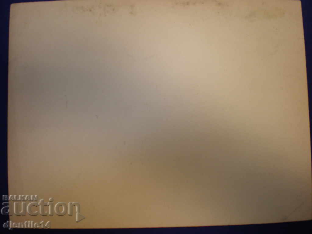 Auction watercolor drawing. Auction watercolor drawing.