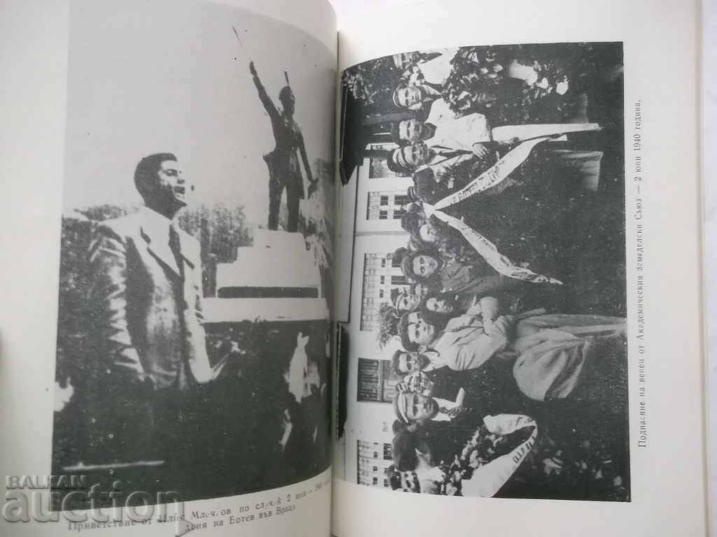 Auction Controversial chronicle - Ilia Mlechkov 1993 Auction Controversial chronicle - Ilia Mlechkov 1993