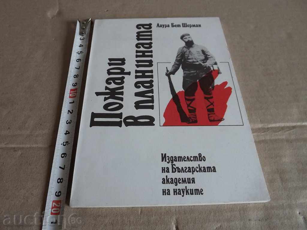 THE MACEDONIAN MOVEMENT AND THE RELEASE OF E.