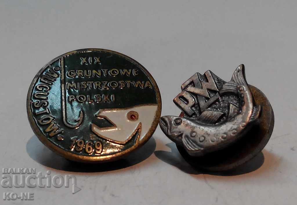 Sat badges Poland - 5