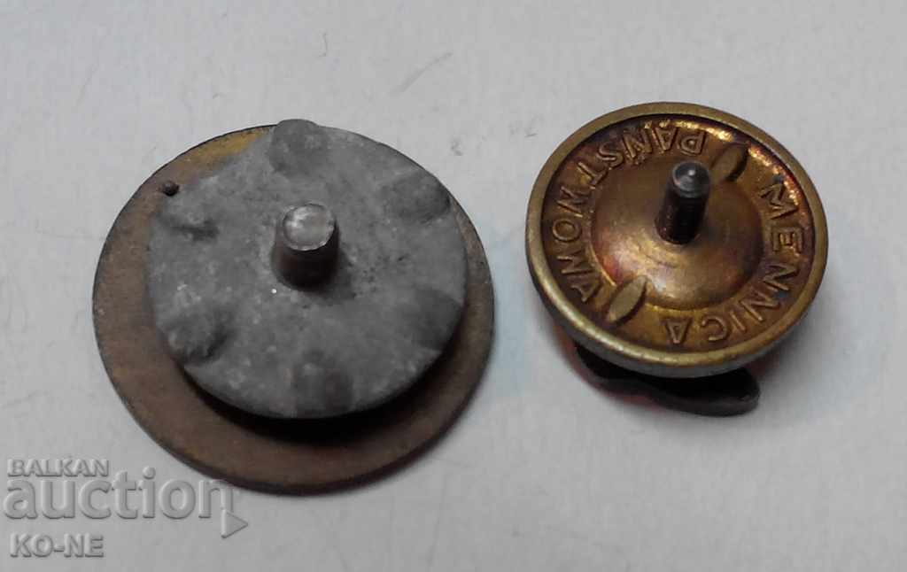 Sat badges Poland - 6