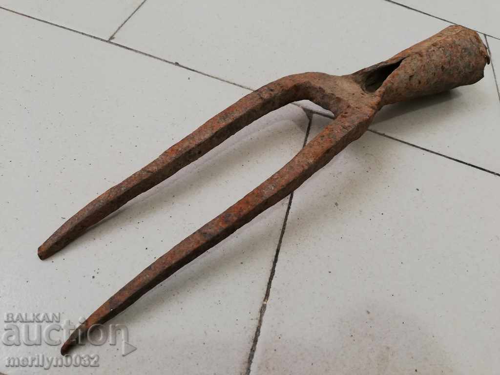 Double tooth, beet harvester, wrought iron - 6