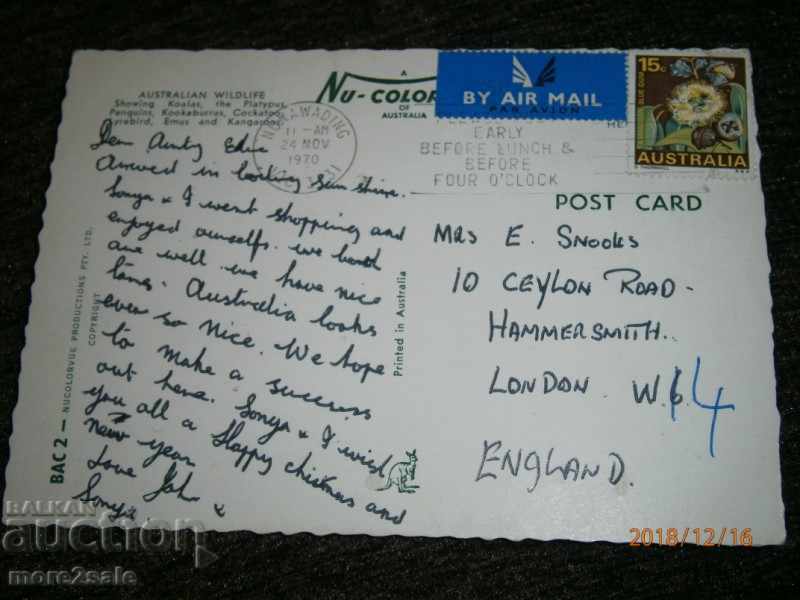 Postcard - THE WILD BIRDS OF AUSTRALIA TRAVELED 1970 with price 0.80 BGN | € 0.41 Postcard - THE WILD BIRDS OF AUSTRALIA TRAVELED 1970 with price 0.80 BGN | € 0.41