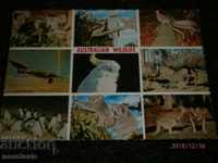 Postcard - THE WILD BIRDS OF AUSTRALIA TRAVELED 1970