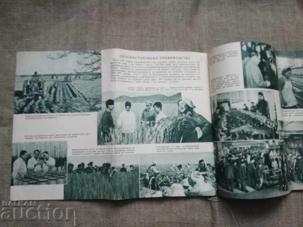 Auction  Pavilion at the People's Republic of China Plovdiv 1956