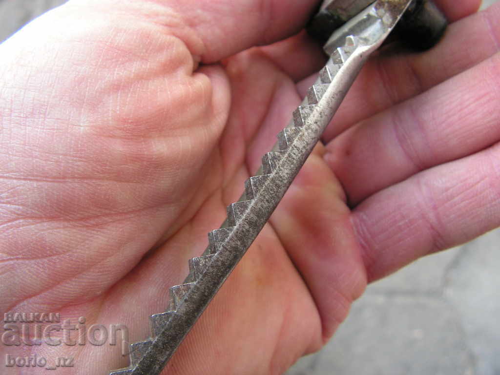 9650. STARA CUT BABY - 5 9650. STARA CUT BABY - 5