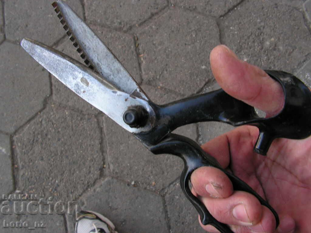 9650. STARA CUT BABY - 7 9650. STARA CUT BABY - 7