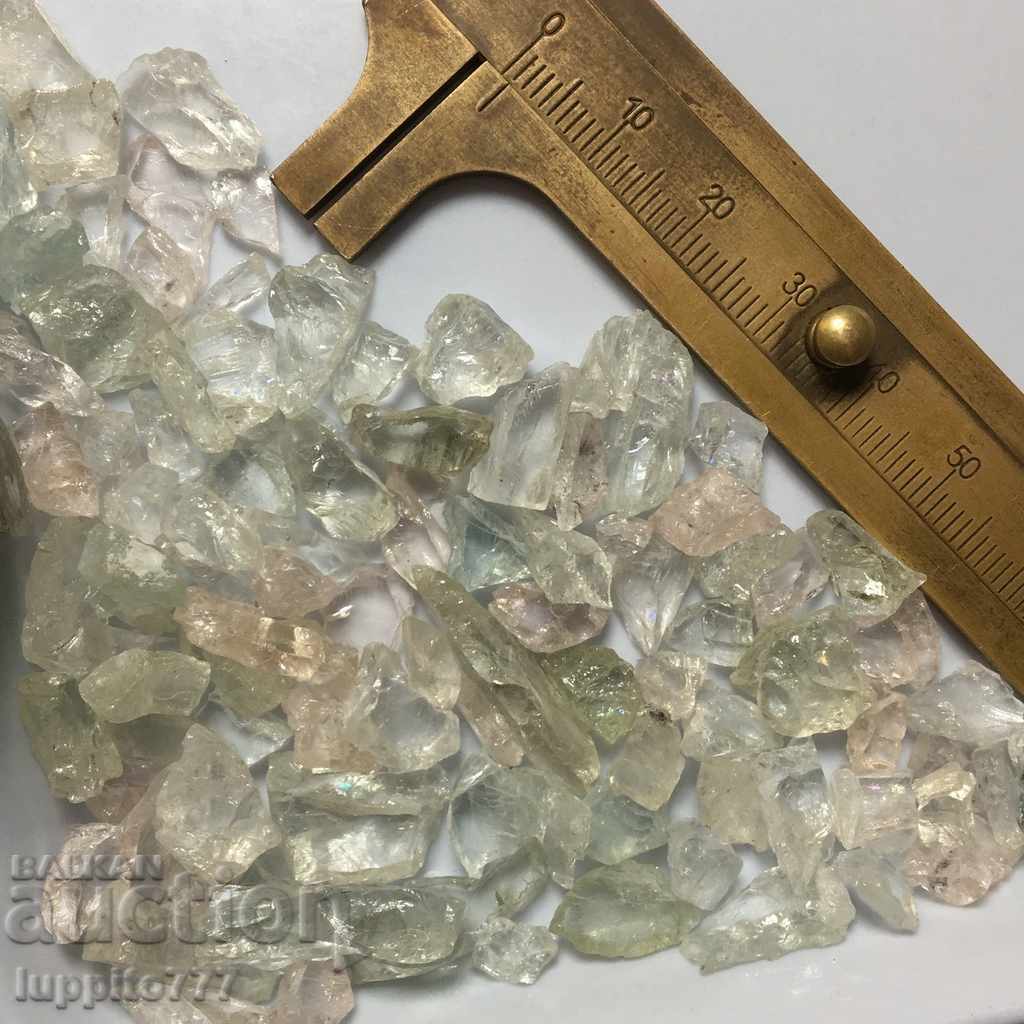 Livrarea 100% morcov natural 100 lot carate