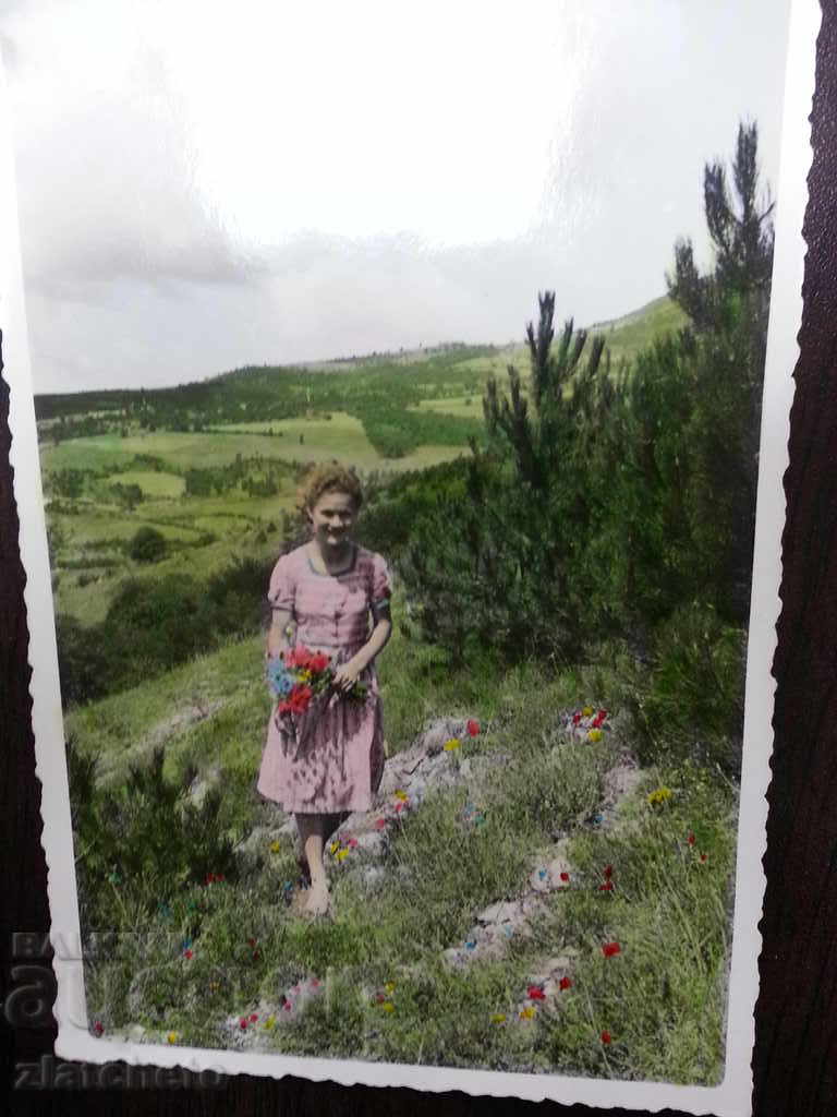 old photo with price 5.00 BGN | € 2.56