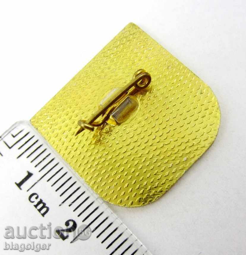 Delivery of FLAG and FOOTBALL BADGE - DFS TORPEDO-KARLOVO-SOPOT Delivery of FLAG and FOOTBALL BADGE - DFS TORPEDO-KARLOVO-SOPOT