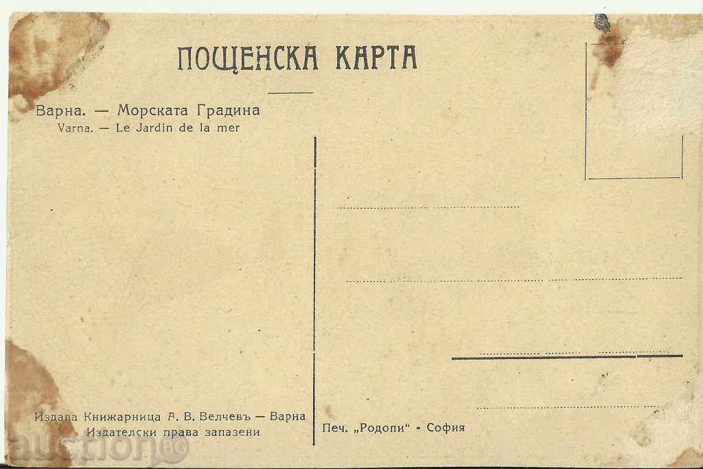 Old card, Varna, Sea Garden with price 5.00 BGN | € 2.56 Old card, Varna, Sea Garden with price 5.00 BGN | € 2.56