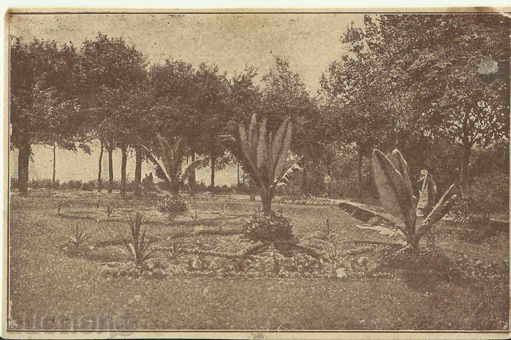 Παλιά κάρτα, Βάρνα, Θαλάσσιος Κήπος