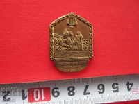A rare German bronze badge badge 3 Reich
