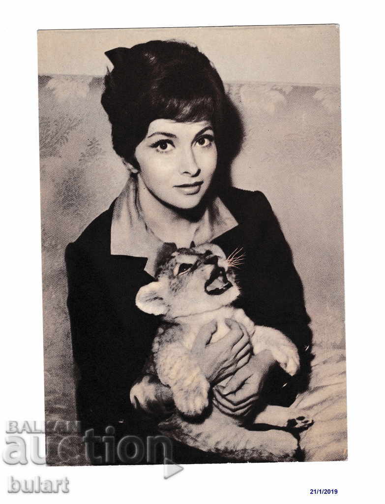 Καρτ ποστάλ Gina Lolobrzidda Ιταλική ηθοποιός Λιοντάρι