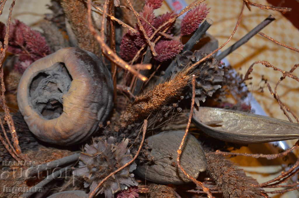 Delivery of ARRANGEMENT FROM NATURE. DRY FLOWERS AND FRUITS Delivery of ARRANGEMENT FROM NATURE. DRY FLOWERS AND FRUITS