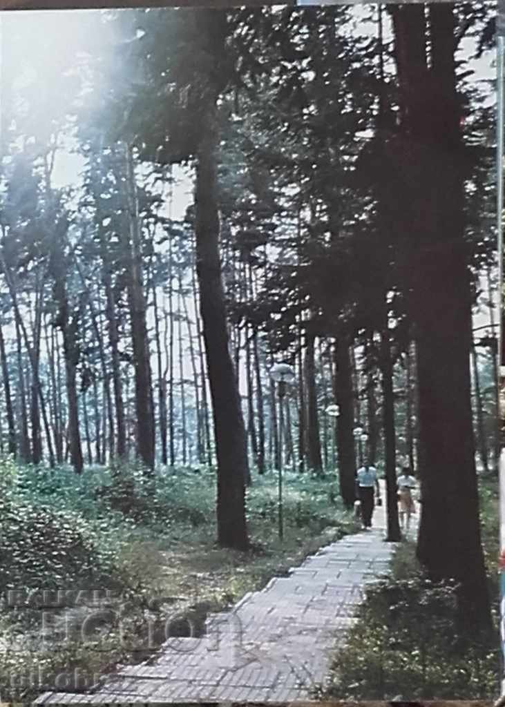 Стрелча - Паркът - Алея на здравето - 1988