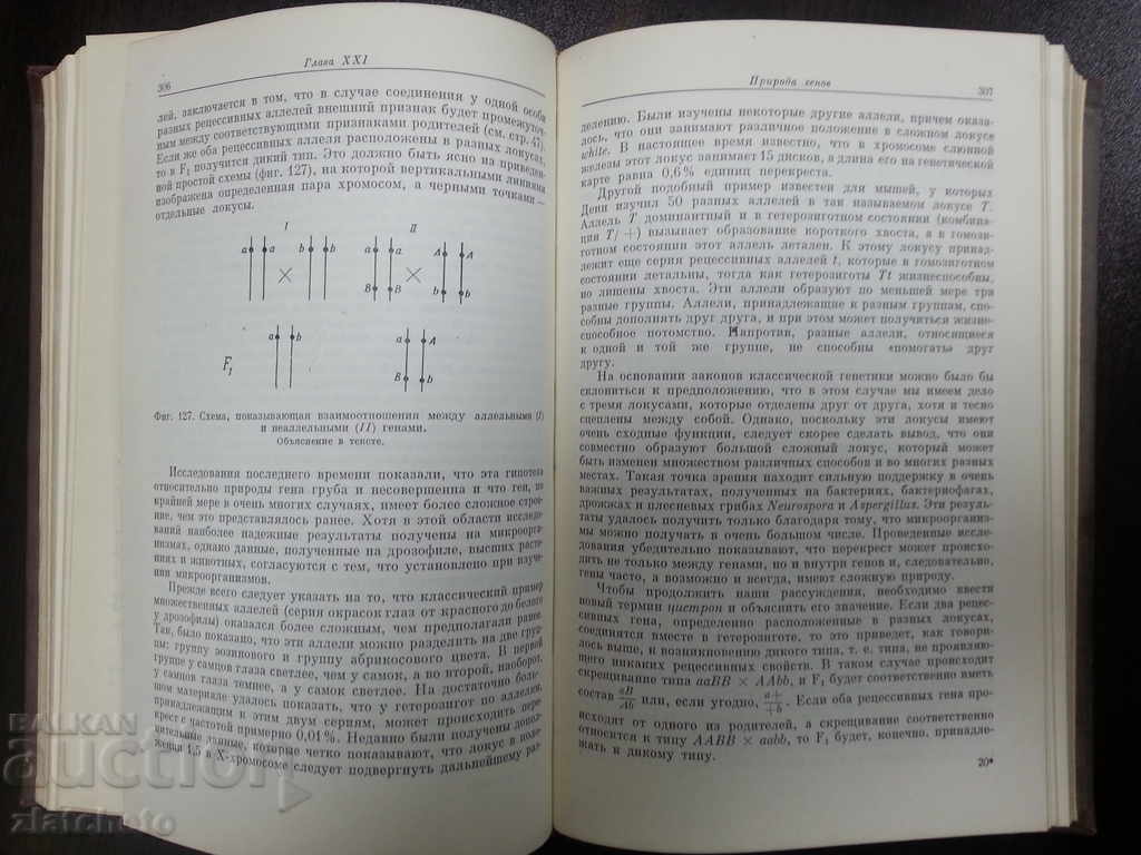 Auction Genetic Menting 1967 Auction Genetic Menting 1967