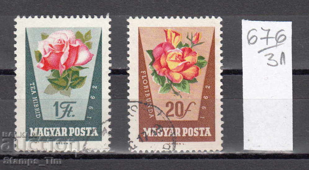 31K676 / HUNGARY 1962 FLORA FLOWER ROSE