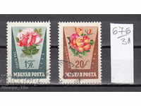 31K676 / HUNGARY 1962 FLORA FLOWER ROSE