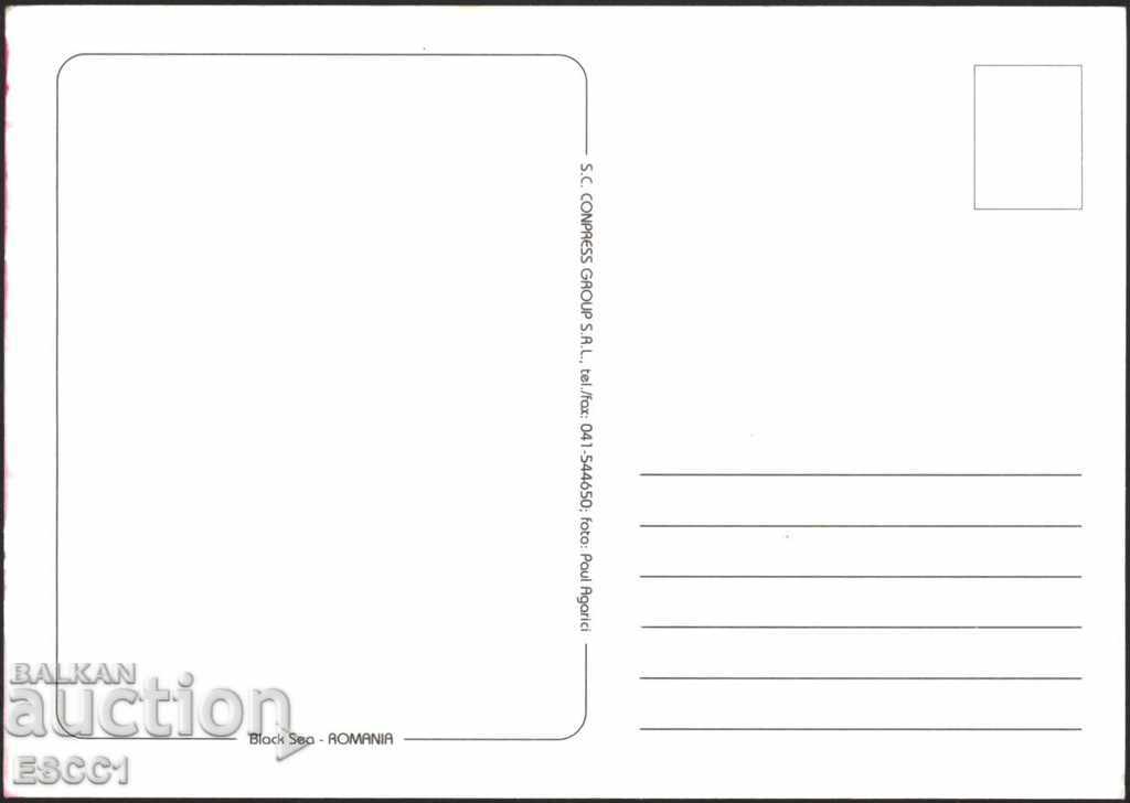 Postcard View Children from Romania with price 2.00 BGN | € 1.02