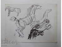 Original Picture Atanas Yaranov 5 Scenes of horses Tush Unshaken