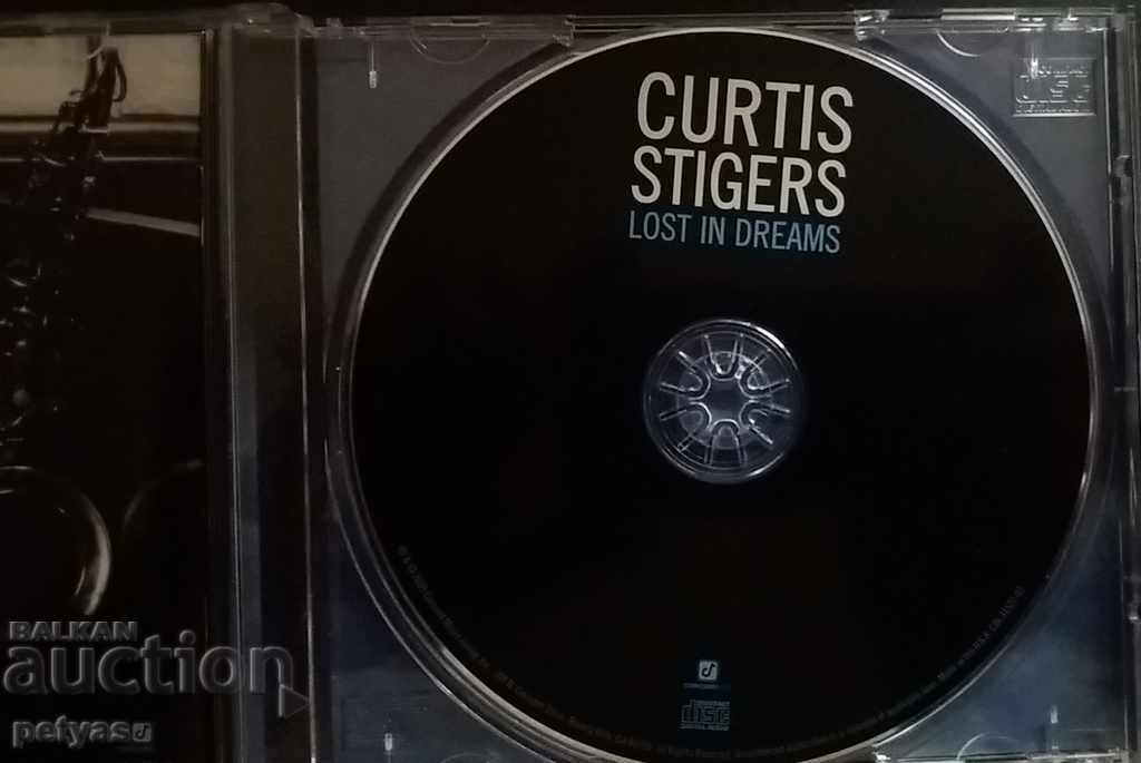 Auction  SD - Curtis Stigers Lost in Dreams Album - MUSIC