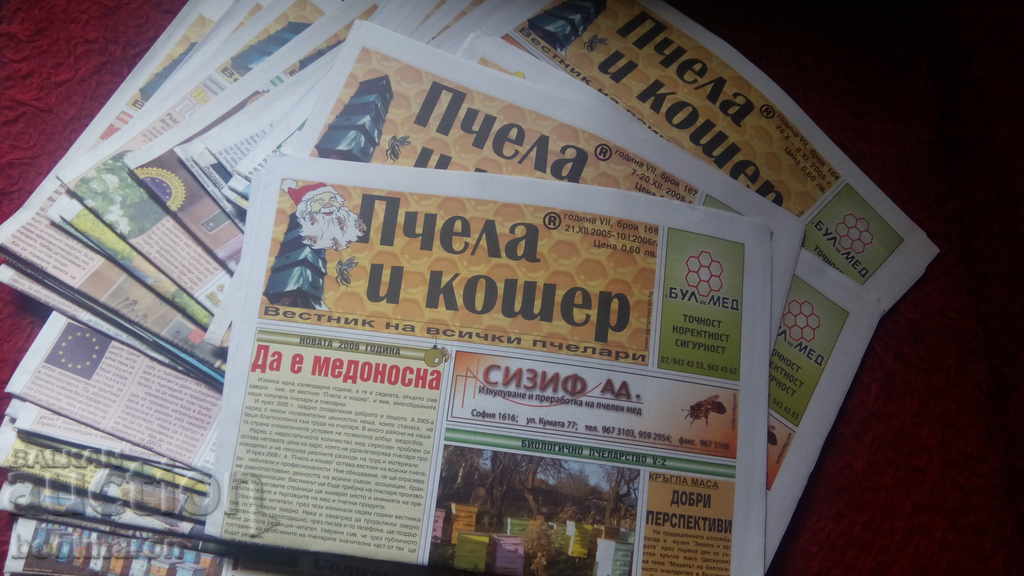 Μέλισσα και κυψέλη