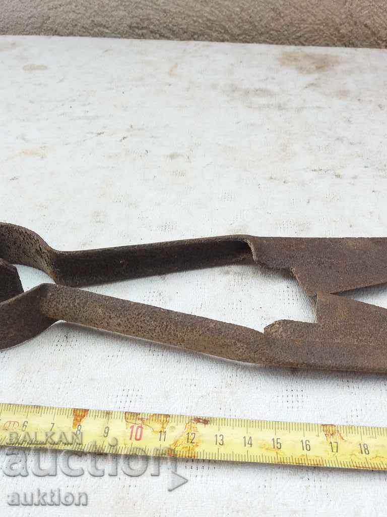 STAR HORSES HANDLE FOR SHEEPING THE SHEEP - 5