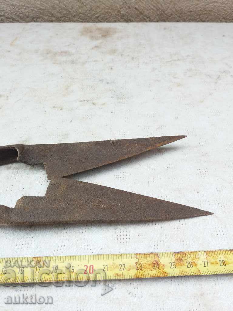 STAR HORSES HANDLE FOR SHEEPING THE SHEEP - 6