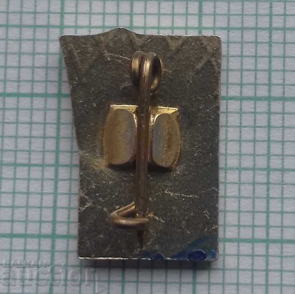 6070 Badge - CM Rodina with price 0.50 BGN | € 0.26