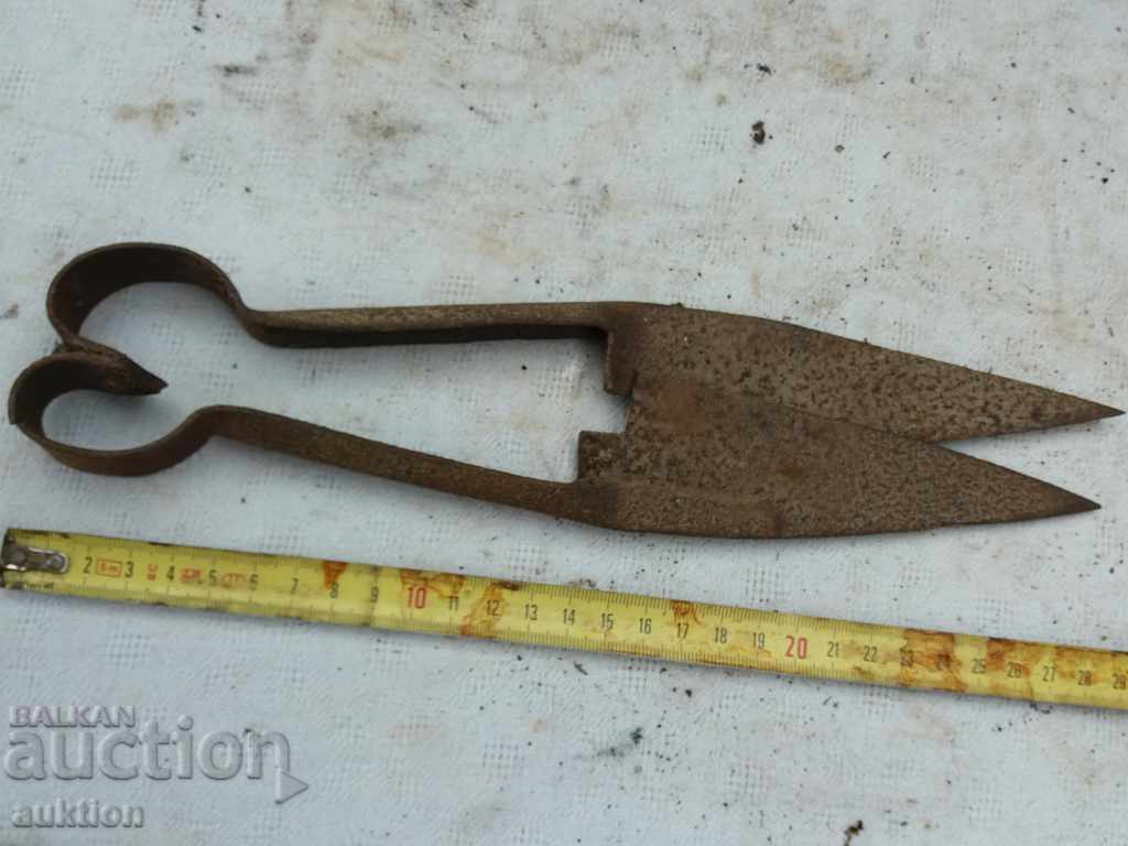 STAR HORSES HANDLE FOR SHEEPING THE SHEEP - 7 STAR HORSES HANDLE FOR SHEEPING THE SHEEP - 7