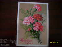 STAR POSTED CARD - USSR