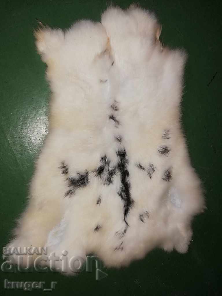 Rabbit skin