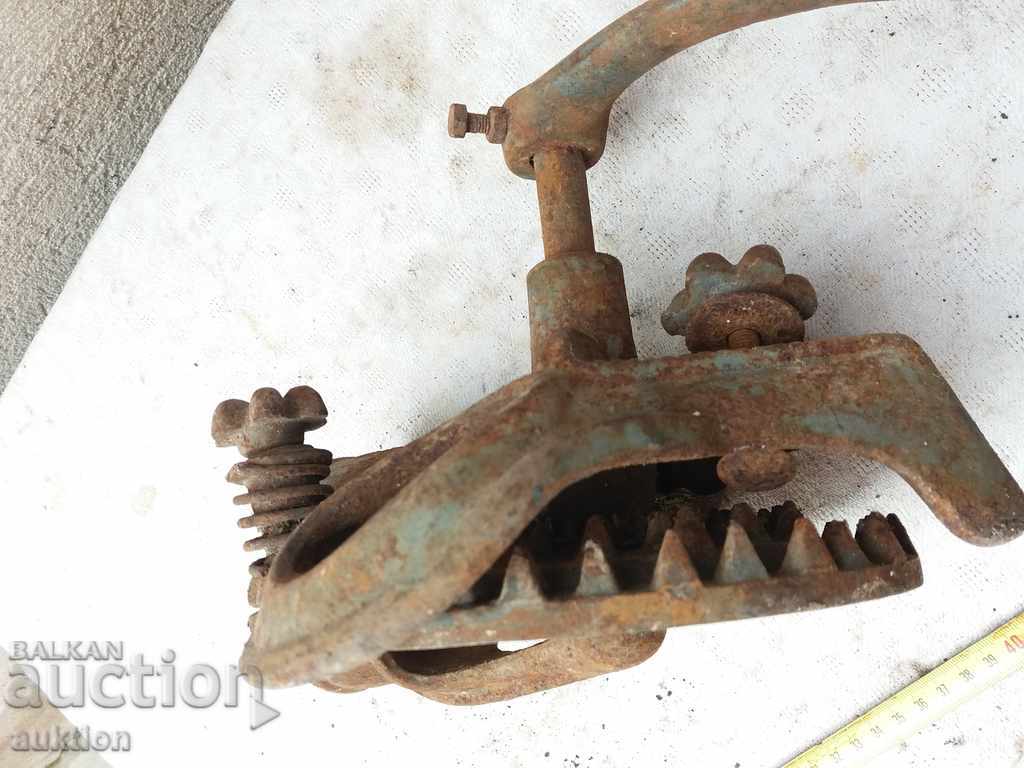 MASINA DE BEAUTY MAI PENTRU CURCAREA MUNCA COCKURUS MAM - 6