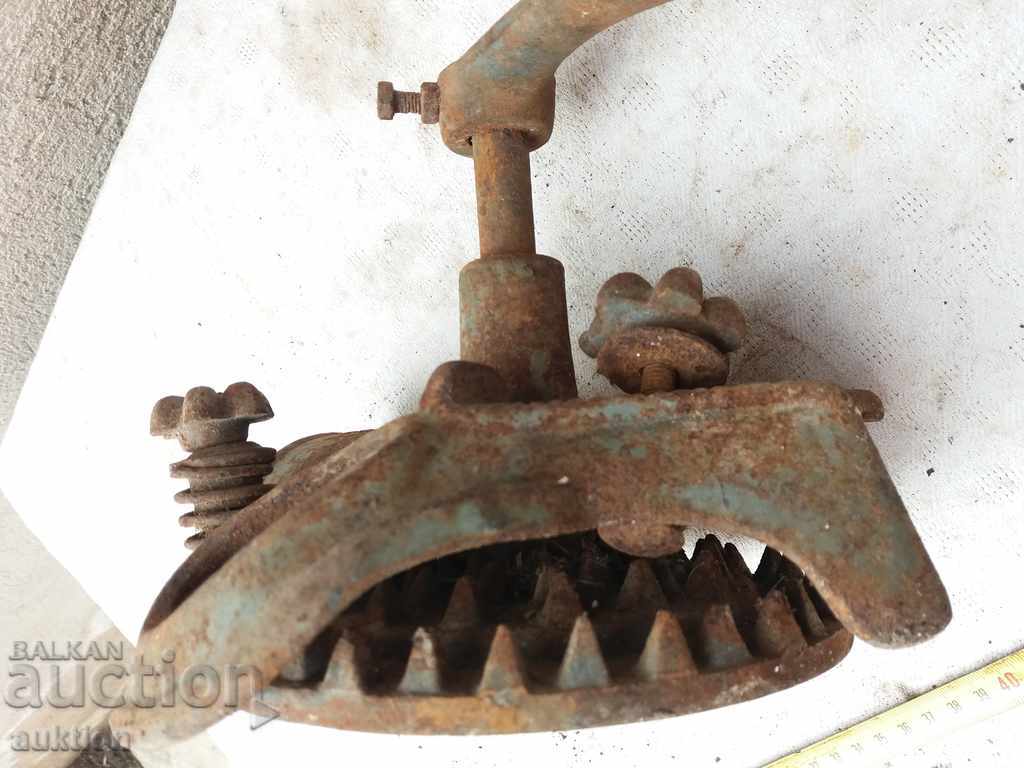 MASINA DE BEAUTY MAI PENTRU CURCAREA MUNCA COCKURUS MAM - 7