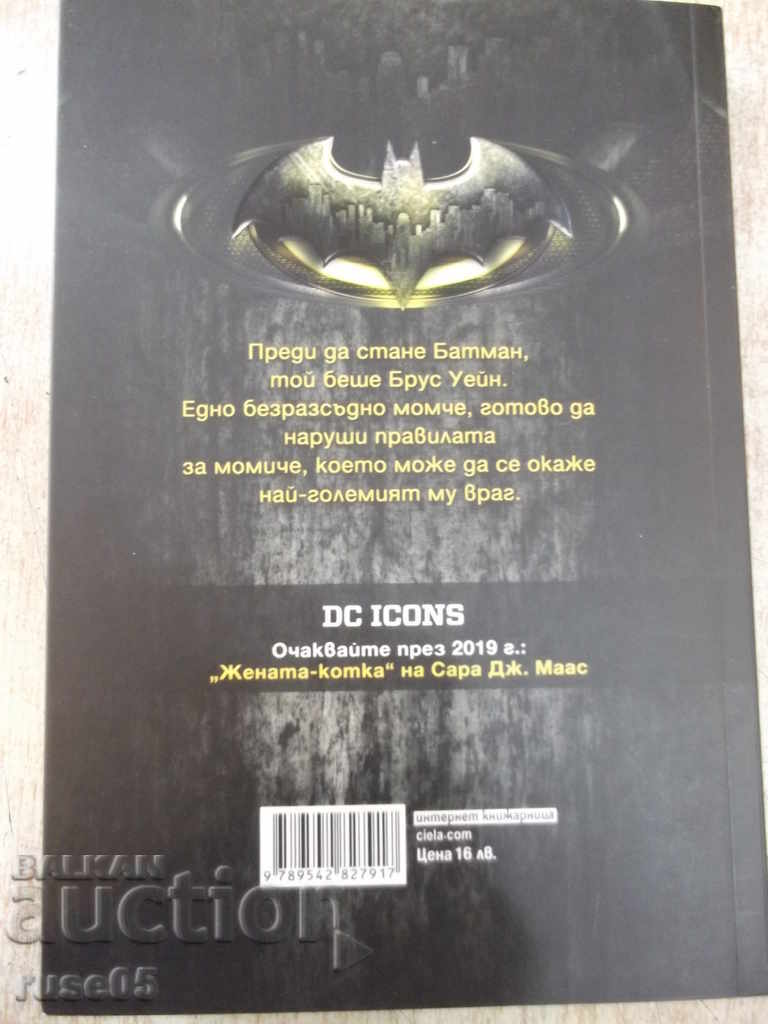 Cartea lui Batman "Predatorul de noapte - Marie Lou" - 376 de pagini. - 6