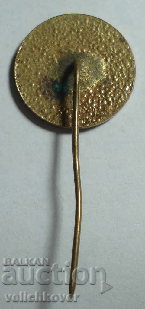 24610 Bulgaria sign DOSO course Young Model e-mail with price 2.00 BGN | € 1.02