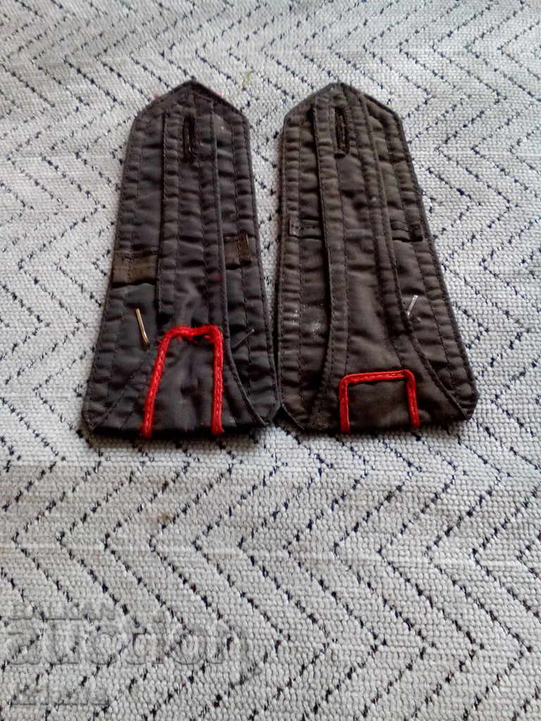 Auction Pogoni Colonel Auction Pogoni Colonel