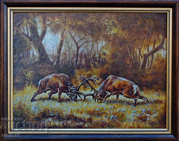 Red deer, fight, picture for hunters