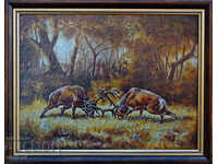 Благородни елени, борба, картина за ловци