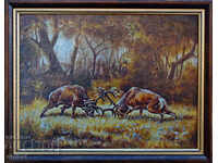 Red deer, fight, picture for hunters