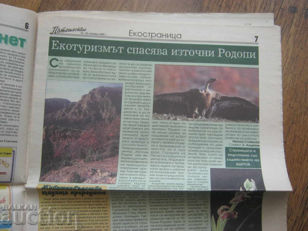 Newspaper Journey. 2000 - 5 Newspaper Journey. 2000 - 5