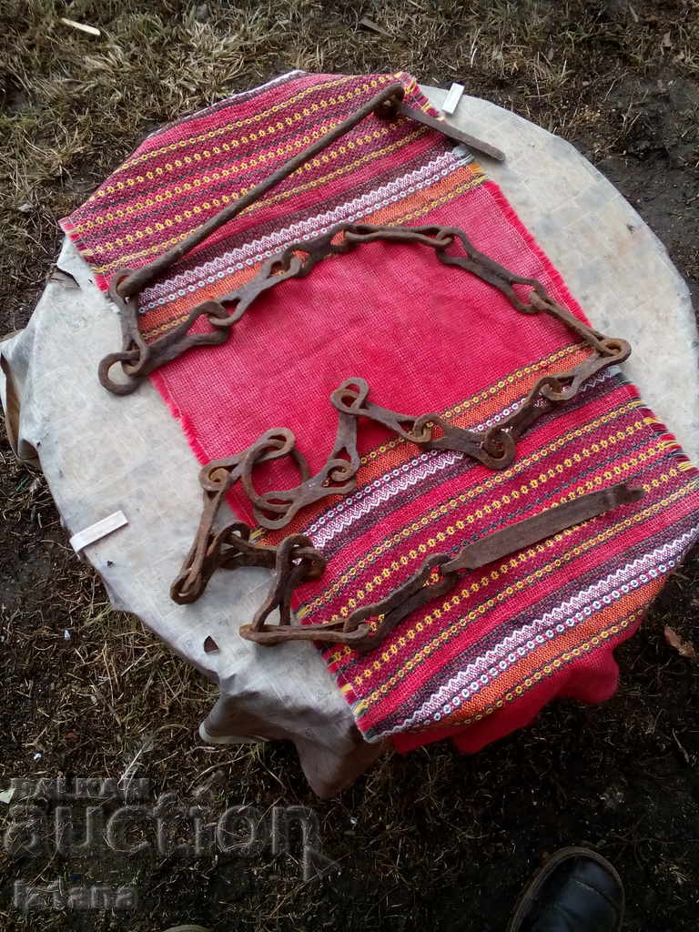 Ancient Circuit for an Outbreak - 5