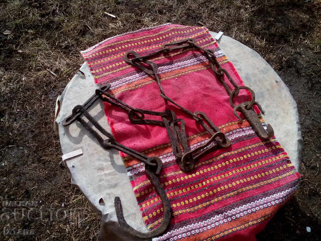 Ancient Circuit for an Outbreak - 5 Ancient Circuit for an Outbreak - 5