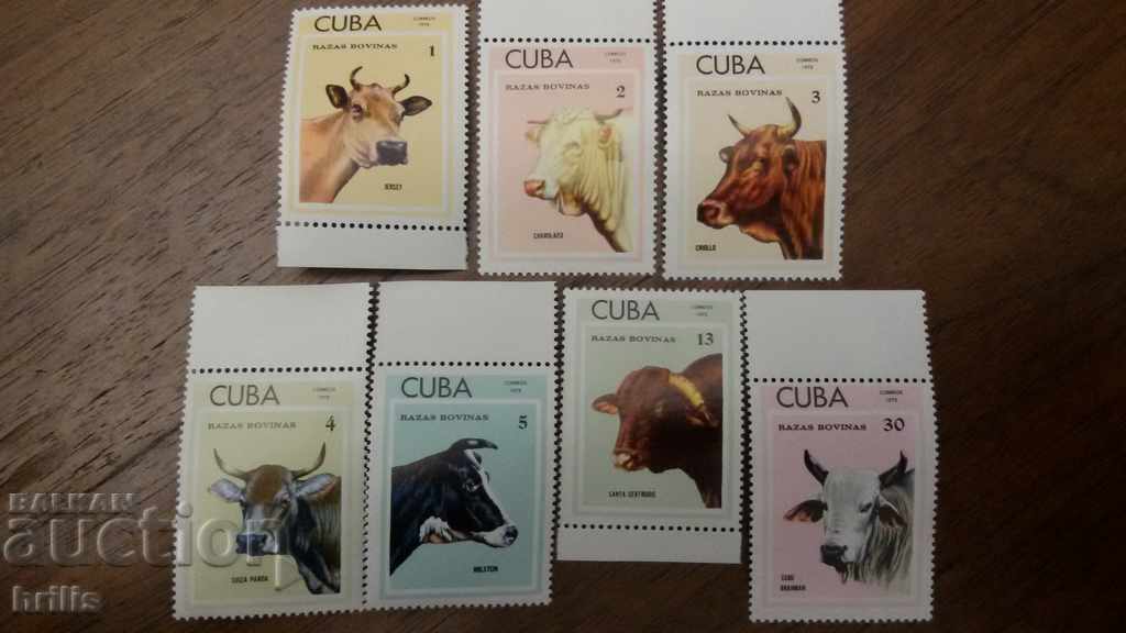 Cuba 1973 - Fauna, breeding cattle